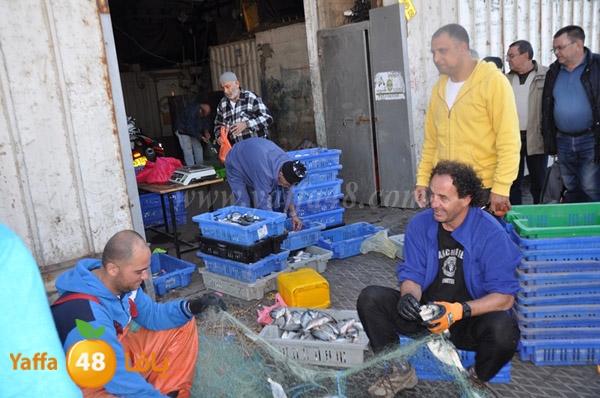 samak denisss (19).JPG